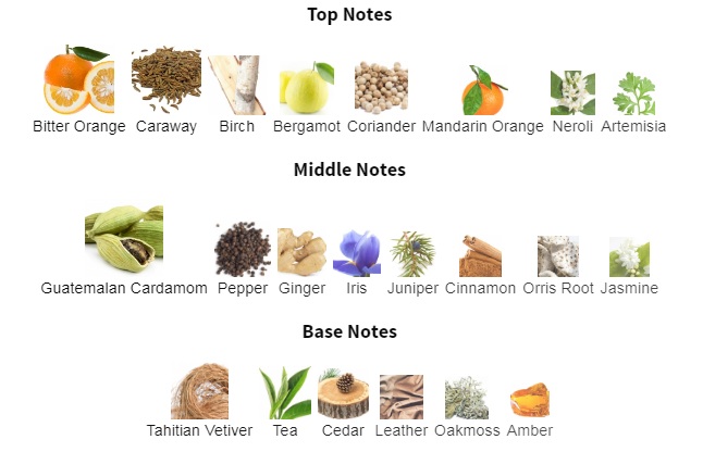 هرم بویایی عطر Cartier Declaration for Men EDT