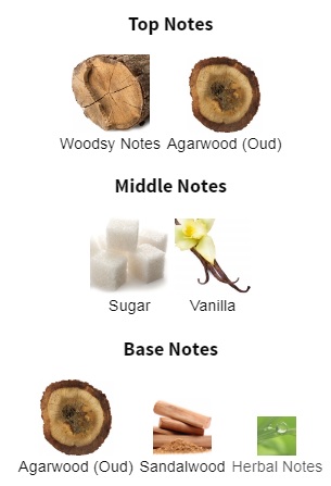 هرم بویایی عطر Ameer Al Oudh Intense Oud Lattafa