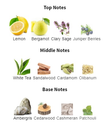 هرم بویایی عطر امیر لطافه Emeer Lattafa