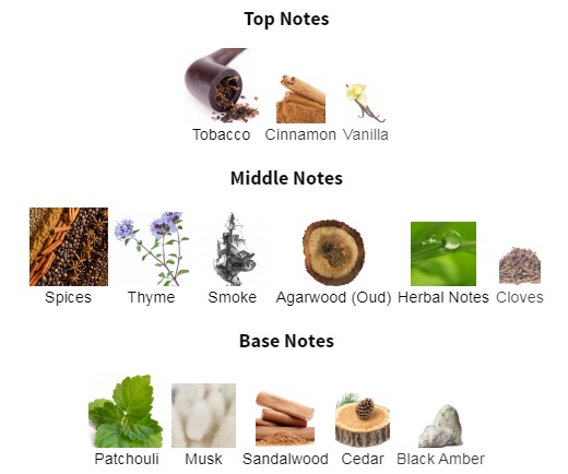 هرم بویایی عطر لطافه ادیب Adeeb Lattafa