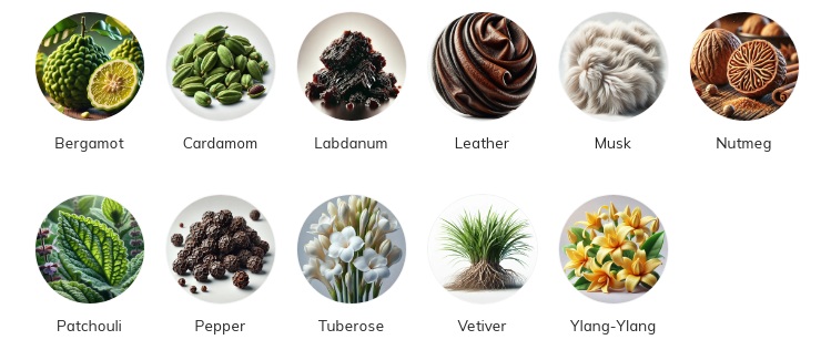 هرم بویایی عطر Vierges et Toreros از برند Etat Libre d’Orange