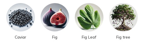 هرم بویایی عطر تیری موگلر وومنیتی Thierry Mugler Womanity EDP