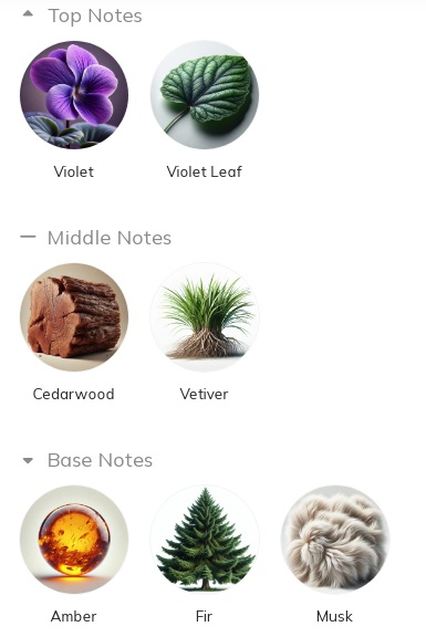 هرم بویایی عطر مردانه دیسکوارد تو هی وود قهوه ای ادوتویلت He Wood Brown by DSQUARED²