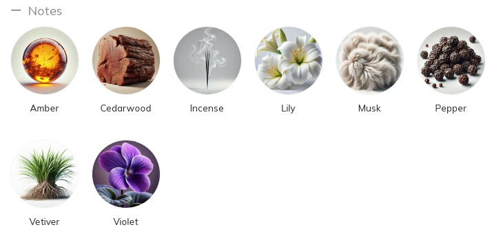 هرم بویایی عطر دیسکوارد تو هی وود راکی مانتین وود ادوتویلت مردانه Dsquared² He Wood Rocky Mountain Wood Eau de Toilette