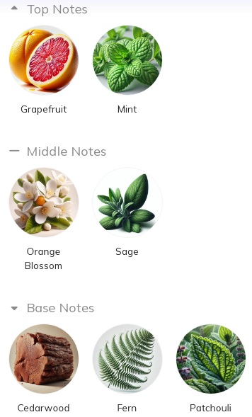 هرم بویایی عطر او د لاگوست ال 12.12. بلو (آبی) ادوتویلت مردانه Lacoste Eau de Lacoste L.12.12. Blue for Men EDT