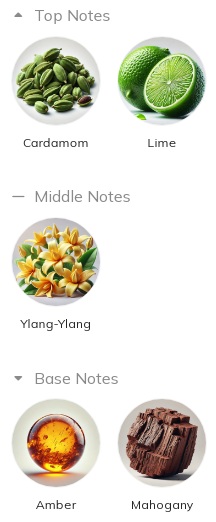 هرم بویایی عطر اسمیت اند وسون اسمیت اند وسون ادوتویلت مردانه Smith & Wesson Smith & Wesson for Men EDT