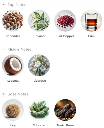 هرم بویایی عطر کازاموراتی زرجف کواترو پیزی  Xerjoff Casamorati Quattro Pizzi