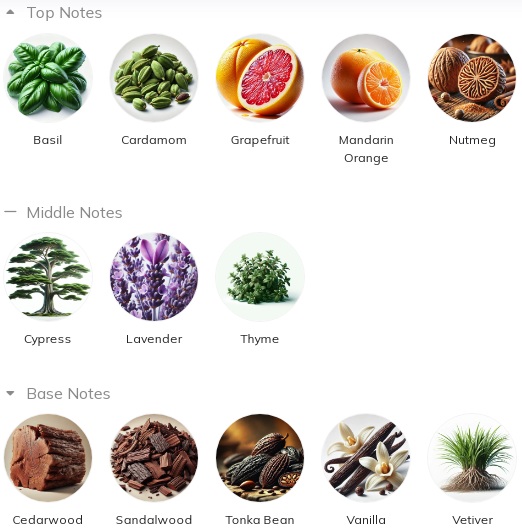 هرم بویایی عطر اجمل چمیستری Ajmal Chemystery for Men EDP