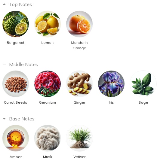 هرم بویایی عطر آمورینو بلک اسنس Amorino Black Essence