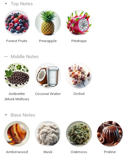 هرم بویایی عطر آریانا گراند کلود پینک Ariana Grande Cloud Pink for Women EDP