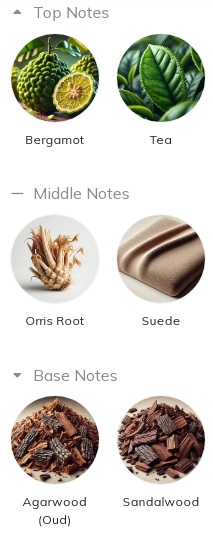 گروه بویایی عطر اتکینسونز عود سیو د کینگ Atkinsons Oud Save The King Unisex EDP