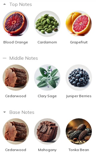 هرم بویایی عطر مونت بلانک لجند رد Mont Blanc Legend Red for Men EDP