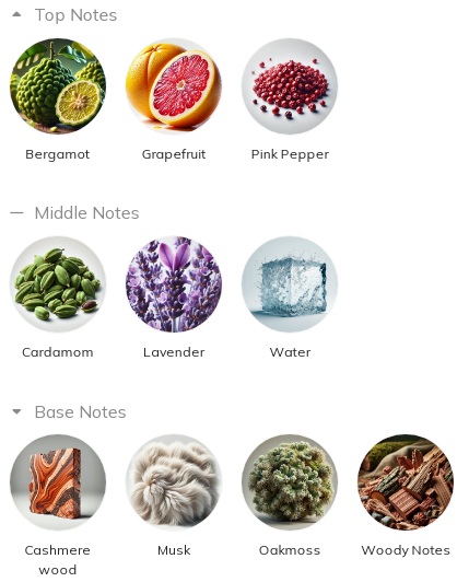 هرم بویایی عطر مونت بلانک لجند اسپیریت Mont Blanc Legend Spirit for Men EDT