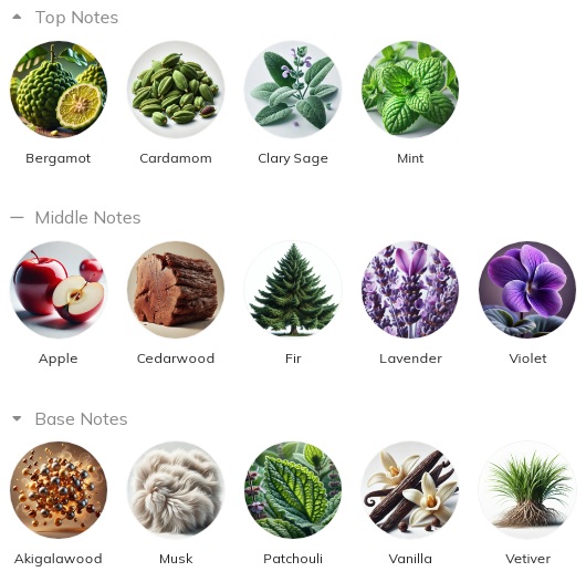 هرم بویایی عطر مونت بلانک لجند نایت Mont Blanc Legend Night for Men EDP