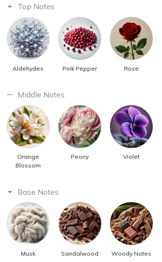 هرم بویایی عطر بایردو بلانچ Byredo Blanche for Women EDP