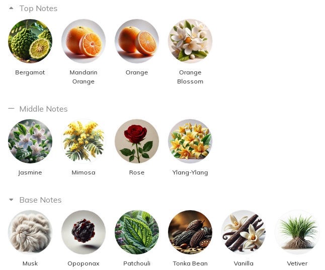 هرم بویایی عطر ادکلن چنل-شنل کوکو مادمازل ادوپرفیوم زنانه Chanel Coco Mademoiselle for Women EDP