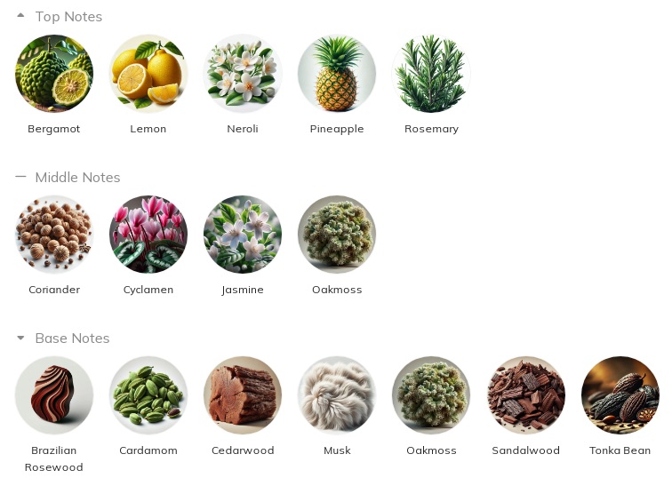 هرم بویایی عطر ادکلن آزارو کروم ادوتویلت مردانه Azzaro Chrome for Men EDT