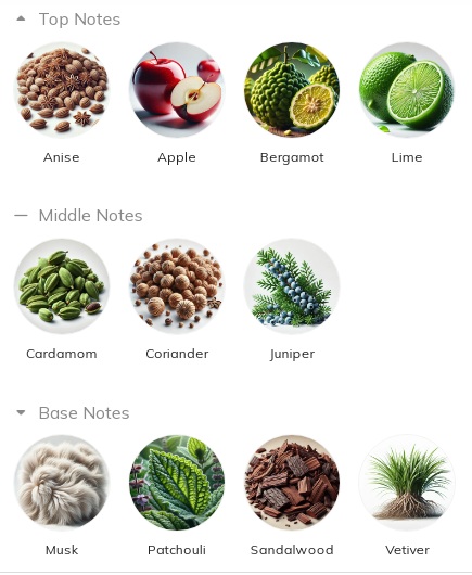 هرم بویایی عطر ادکلن آزارو سیلور بلک ادوتویلت مردانه Azzaro Silver Black for Men EDT