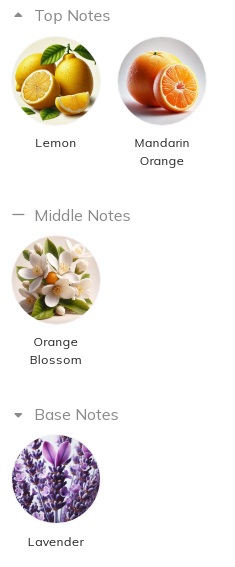 هرم بویایی عطر ادکلن ایو سن لورن (وای اس ال) لیبر لو نو (ل او نو) ادوپرفیوم زنانه Yves Saint Laurent Libre L’Eau Nue for Women EDP 