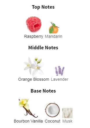 هرم بویایی عطر ادکلن ایو سن لورن (وای اس ال) لیبر بری کراش ادوپرفیوم زنانه Yves Saint Laurent Libre Berry Crush for Women EDP