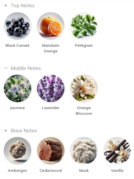 هرم بویایی عطر ادکلن ایو سن لورن (وای اس ال) لیبر هیر میست زنانه Yves Saint Laurent Libre Hair Mist for Women