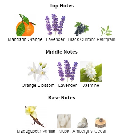 هرم بویایی عطر ادکلن ایو سن لورن (وای اس ال) لیبر ایمپرایم ساواج کالکتور ادیشن ادوپرفیوم زنانه Yves Saint Laurent Libre Imprime Sauvage Collector Edition for Women EDP