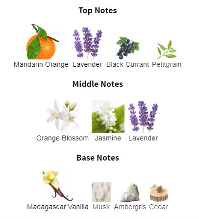 هرم بویایی عطر ادکلن ایو سن لورن (وای اس ال) لیبر وویاج ریو کالکتور ادیشن ادوپرفیوم زنانه Yves Saint Laurent Libre Voyage Reve Collector Edition for Women EDP