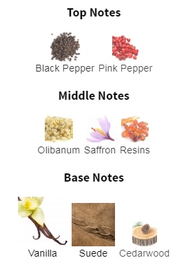 هرم بویایی عطر ادکلن ایو سن لورن (وای اس ال) بیبی کت راو بوربون ادوپرفیوم مردانه-زنانه Yves Saint Laurent Babycat Raw Bourbon Unisex EDP