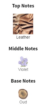 هرم بویایی عطر ادکلن ایو سن لورن (وای اس ال) کویر سابلایم-سوبلیم عود ادوپرفیوم مردانه-زنانه Yves Saint Laurent Cuir Sublime Oud Unisex EDP