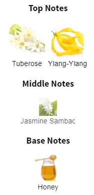 هرم بویایی عطر ادکلن ایو سن لورن (وای اس ال) گلد سوپریم بوکت-بوکه ادوپرفیوم مردانه-زنانه Yves Saint Laurent Gold Supreme Bouquet Unisex EDP