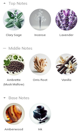 هرم بویایی عطر ادکلن ایو سن لورن (وای اس ال) میوز-میوس ادوپرفیوم مردانه-زنانه Yves Saint Laurent Muse Unisex EDP