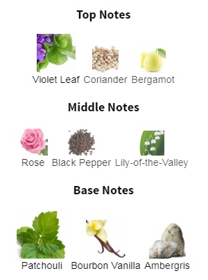 هرم بویایی عطر ادکلن ایو سن لورن (وای اس ال) تاکسیدو شارپ پچولی ادوپرفیوم مردانه-زنانه Yves Saint Laurent Tuxedo Sharp Patchouli Unisex EDP