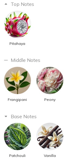 هرم بویایی عطر ادکلن کارولینا هررا (سی اچ) لا بامبا-لا بمبا ادوپرفیوم زنانه Carolina Herrera (CH) La Bomba for Men for Women EDP