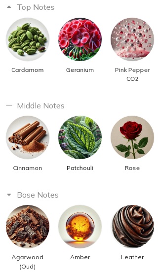 هرم بویایی عطر ادکلن ممو پاریس آفریکن لدر (چرم آفریقایی) ادوپرفیوم مردانه-زنانه Memo Paris African Leather Unisex EDP