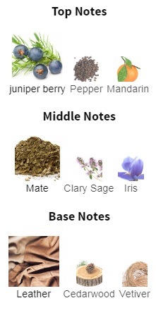 هرم بویایی عطر ادکلن ممو پاریس آیریش لدر ادوپرفیوم مردانه-زنانه Memo Paris Irish Leather Unisex EDP