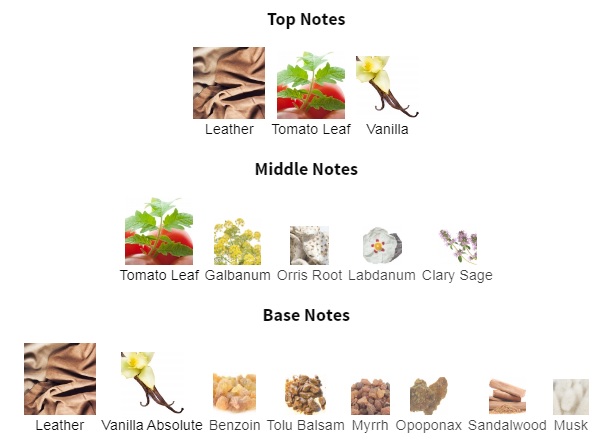 هرم بویایی عطر ادکلن ممو پاریس ایتالین لدر (چرم ایتالیایی) ادوپرفیوم مردانه-زنانه Memo Paris Italian Leather Unisex EDP