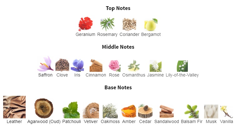 هرم بویایی عطر ادکلن ممو پاریس ایبرین لدر (چرم ایبری) ادوپرفیوم مردانه-زنانه Memo Paris Iberian Leather Unisex EDP