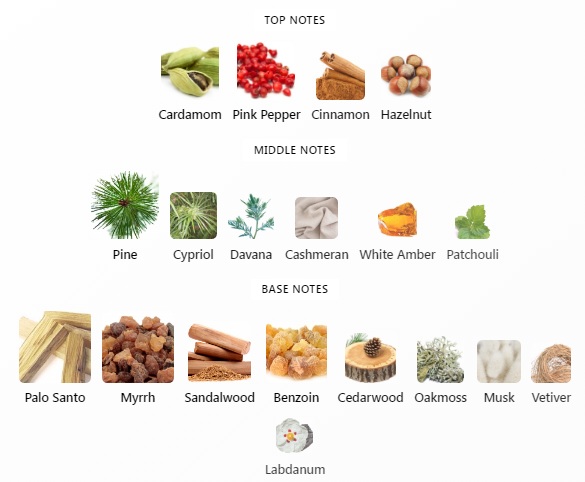 هرم بویایی عطر ادکلن آمواج ریزنز ادوپرفیوم مردانه-زنانه Amouage Reasons Unisex EDP