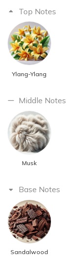 هرم بویایی عطر ادکلن دولچه اند گابانا ففه-فی فی ادوتویلت مردانه- زنانه Dolce & Gabbana Fefé Unisex EDT