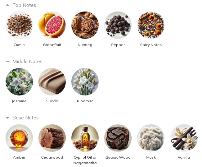 هرم بویایی عطر ادکلن هاوس آف عود نور اندینگ ادوپرفیوم مردانه-زنانه The House of Oud Neverending Unisex EDP