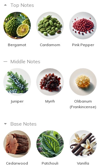 هرم بویایی عطر ادکلن آمواج دسیژن ادوپرفیوم مردانه-زنانه Amouage Decision Unisex EDP