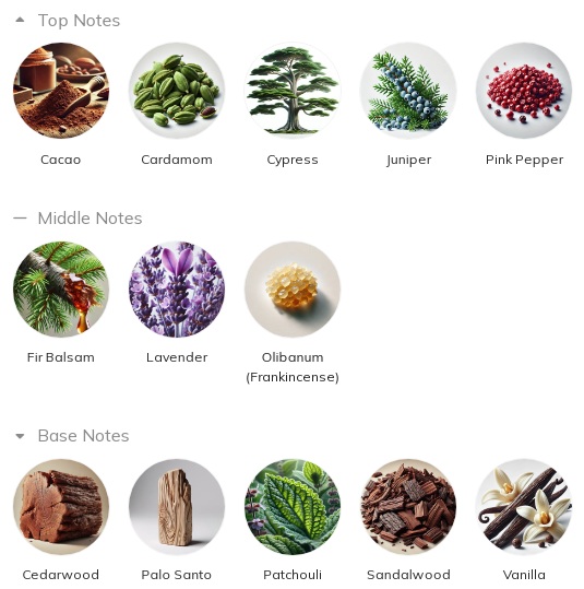 هرم بویایی عطر ادکلن آمواج اوپوس شانزده - تیمبر ادوپرفیوم مردانه-زنانه Amouage Opus XVI – Timber Unisex EDP