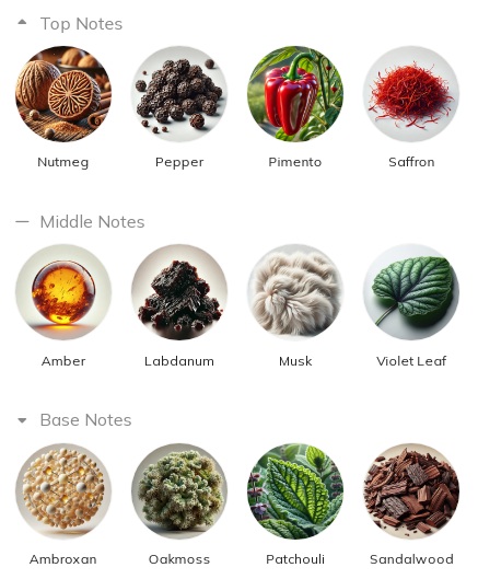 هرم بویایی عطر ادکلن مارک آنتونی بارووا بی 683 ادوپرفیوم مردانه Marc-Antoine Barrois B683 for Men EDP