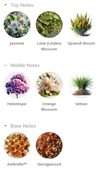 هرم بویایی عطر ادکلن مارک آنتونی بارووا تیلیا ادوپرفیوم مردانه-زنانه Marc-Antoine Barrois Tilia Unisex EDP