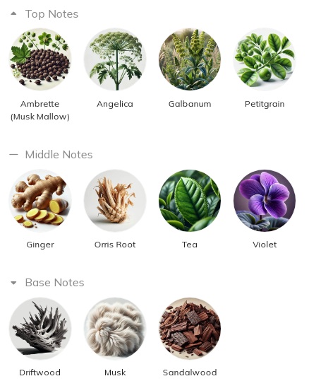 هرم بویایی عطر ادکلن ویلهلم پارفومری بک تو د روتس ادوپرفیوم مردانه-زنانه Vilhelm Parfumerie Back to the Roots Unisex EDP