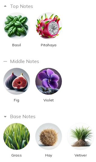 هرم بویایی عطر ادکلن ویلهلم پارفومری باسیلیکو اند فلینی ادوپرفیوم مردانه-زنانه Vilhelm Parfumerie Basilico & Fellini Unisex EDP