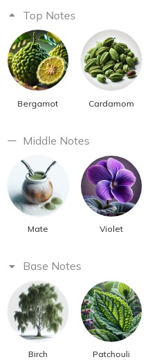 هرم بویایی عطر ادکلن ویلهلم پارفومری بلک سیتروس ادوپرفیوم مردانه-زنانه Vilhelm Parfumerie Black Citrus Unisex EDP