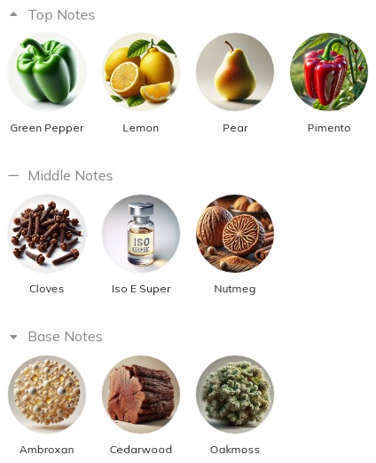 هرم بویایی عطر ادکلن ویلهلم پارفومری بادی پینت ادوپرفیوم مردانه-زنانه Vilhelm Parfumerie Body Paint Unisex EDP