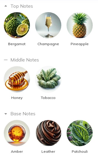 هرم بویایی عطر ادکلن ویلهلم پارفومری شیکاگو های ادوپرفیوم مردانه-زنانه Vilhelm Parfumerie Chicago High Unisex EDP